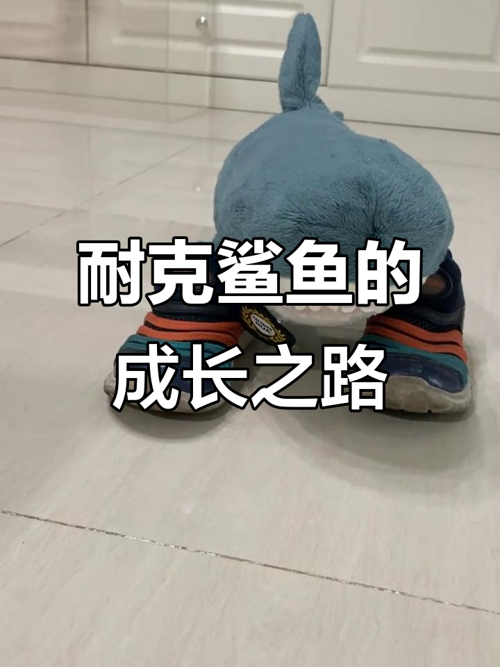 耐克鲨鱼:从毛绒玩具到成年鞋控的转变