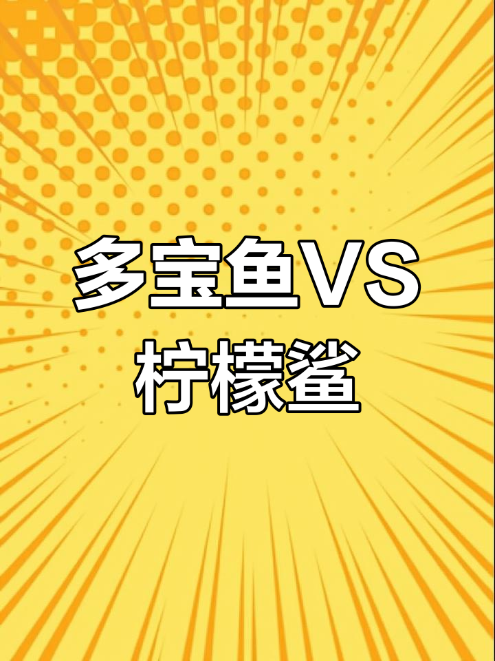 柠檬鲨与多宝鱼的“洗澡”大作战,喂食现场超有趣
