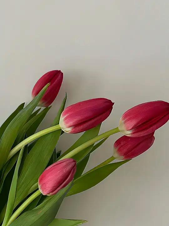 家人们,今天必须给你们安利一道超级过瘾的美食一正宗麻椒鸡!无论是作为一道正餐大菜,还是休闲