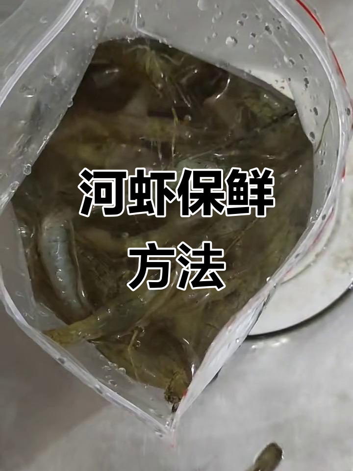 如何保存活河虾,冷冻技巧大公开