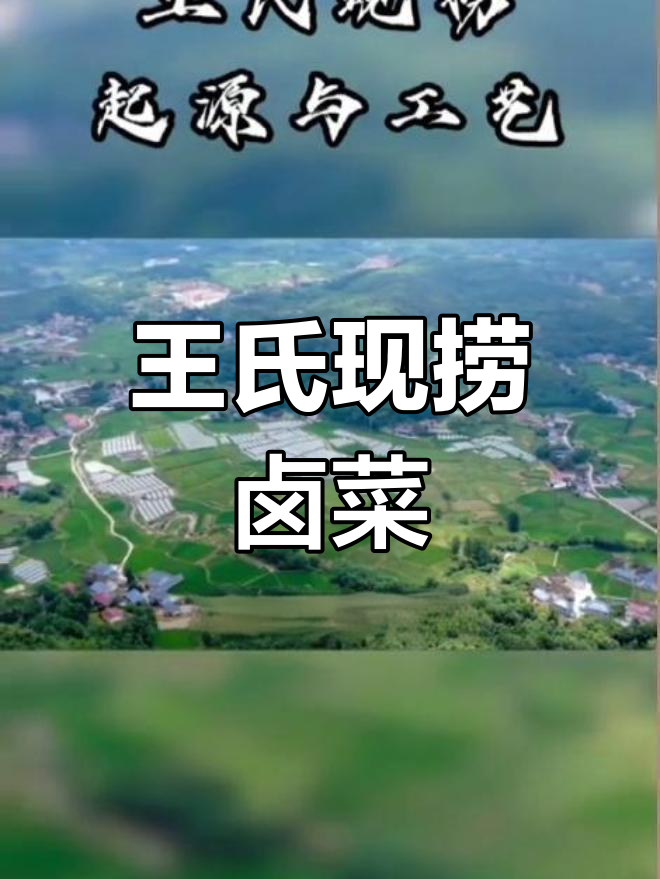 王氏现捞:传承川味,麻辣卤菜引领舌尖新体验