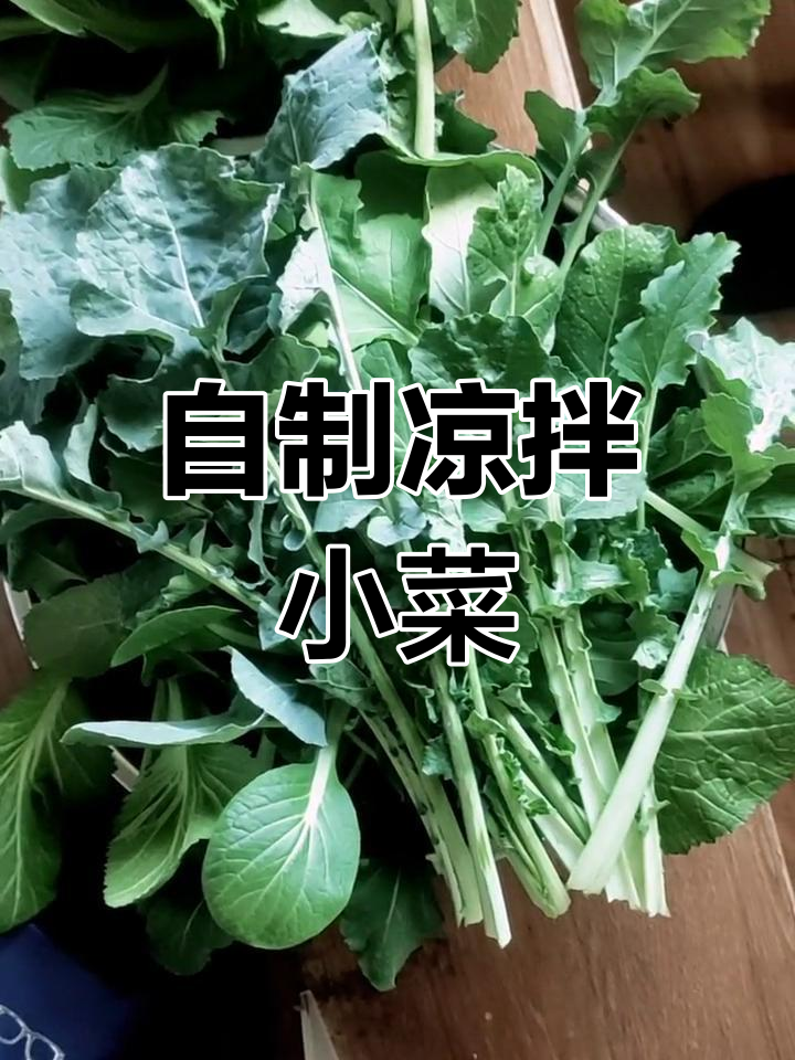 阳台蔬菜大丰收,凉拌菜轻松做
