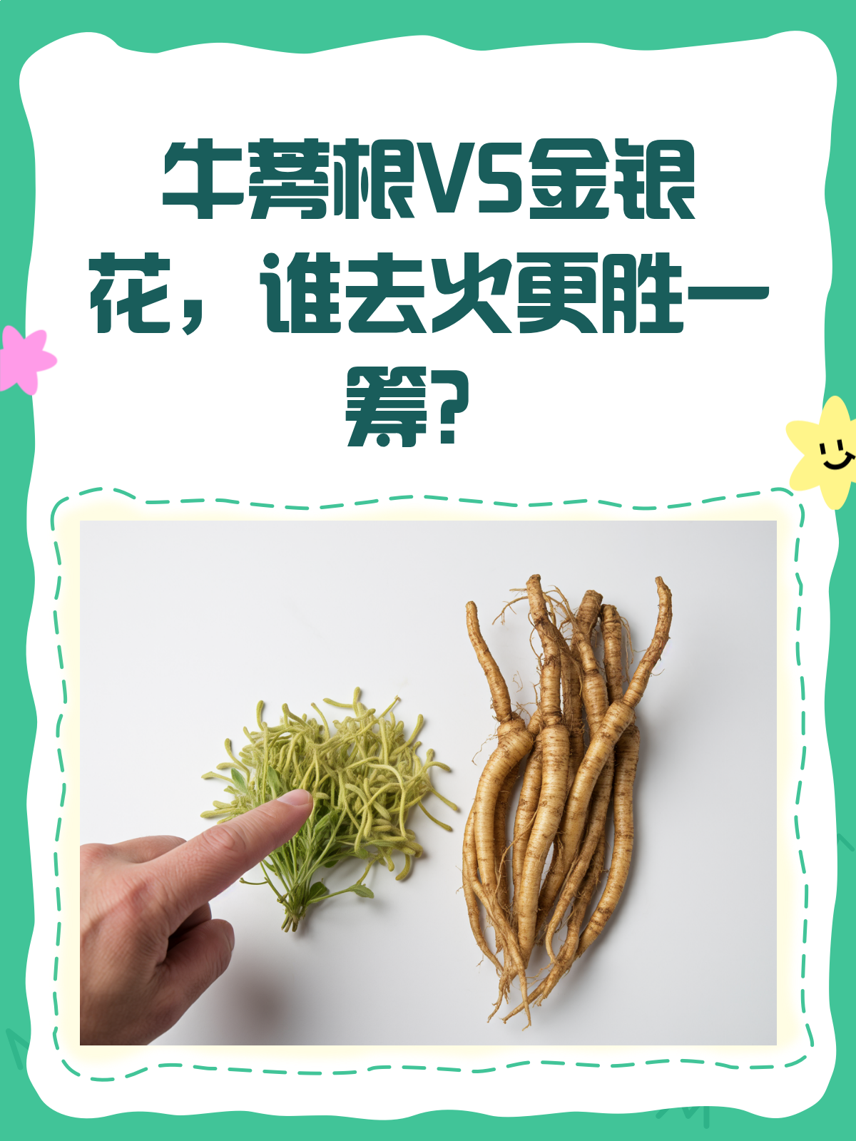 牛蒡根VS金银花,谁才是去火高手?