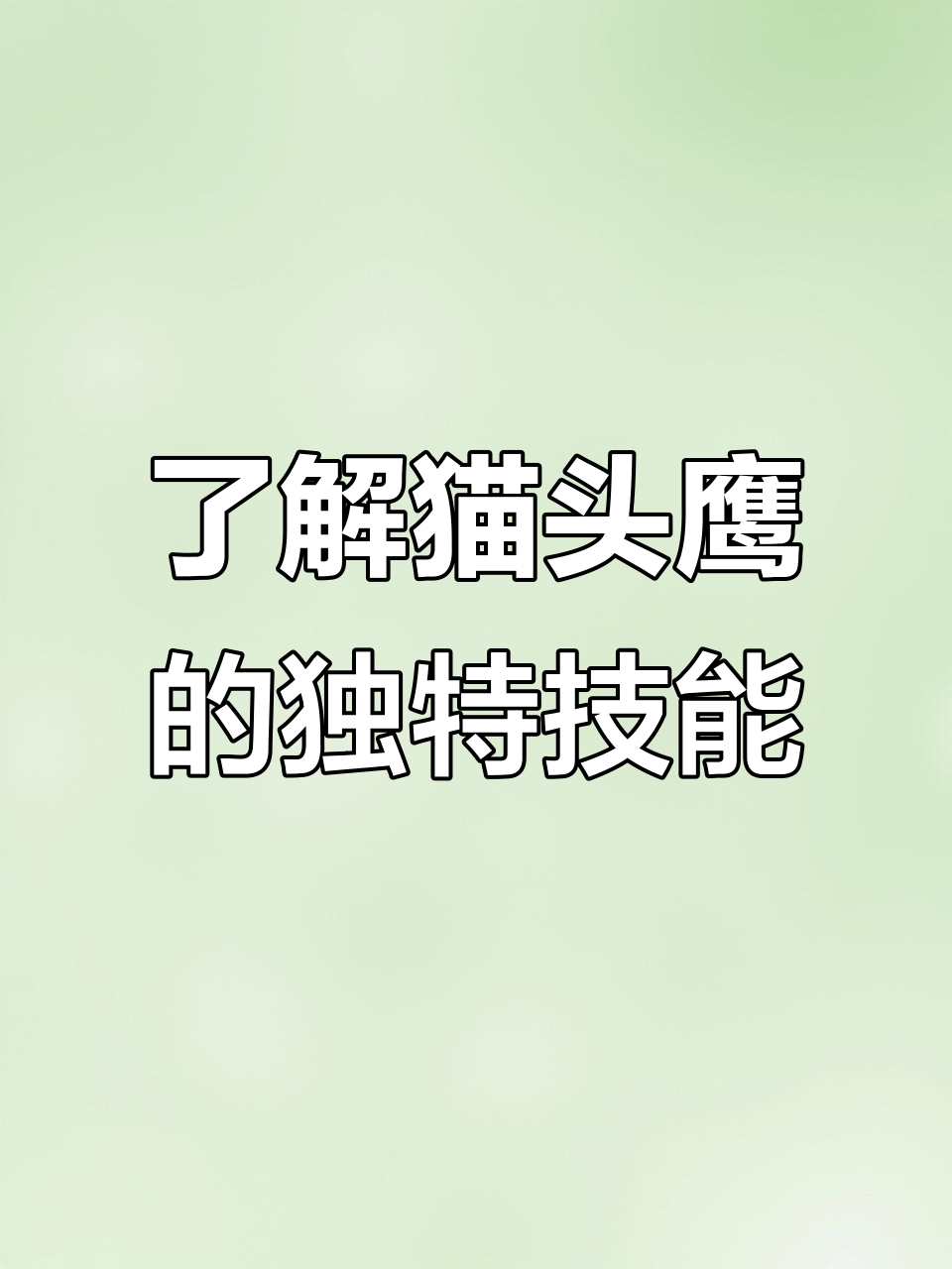 猫头鹰揭秘:夜视能力超强,翅膀像锯齿一样