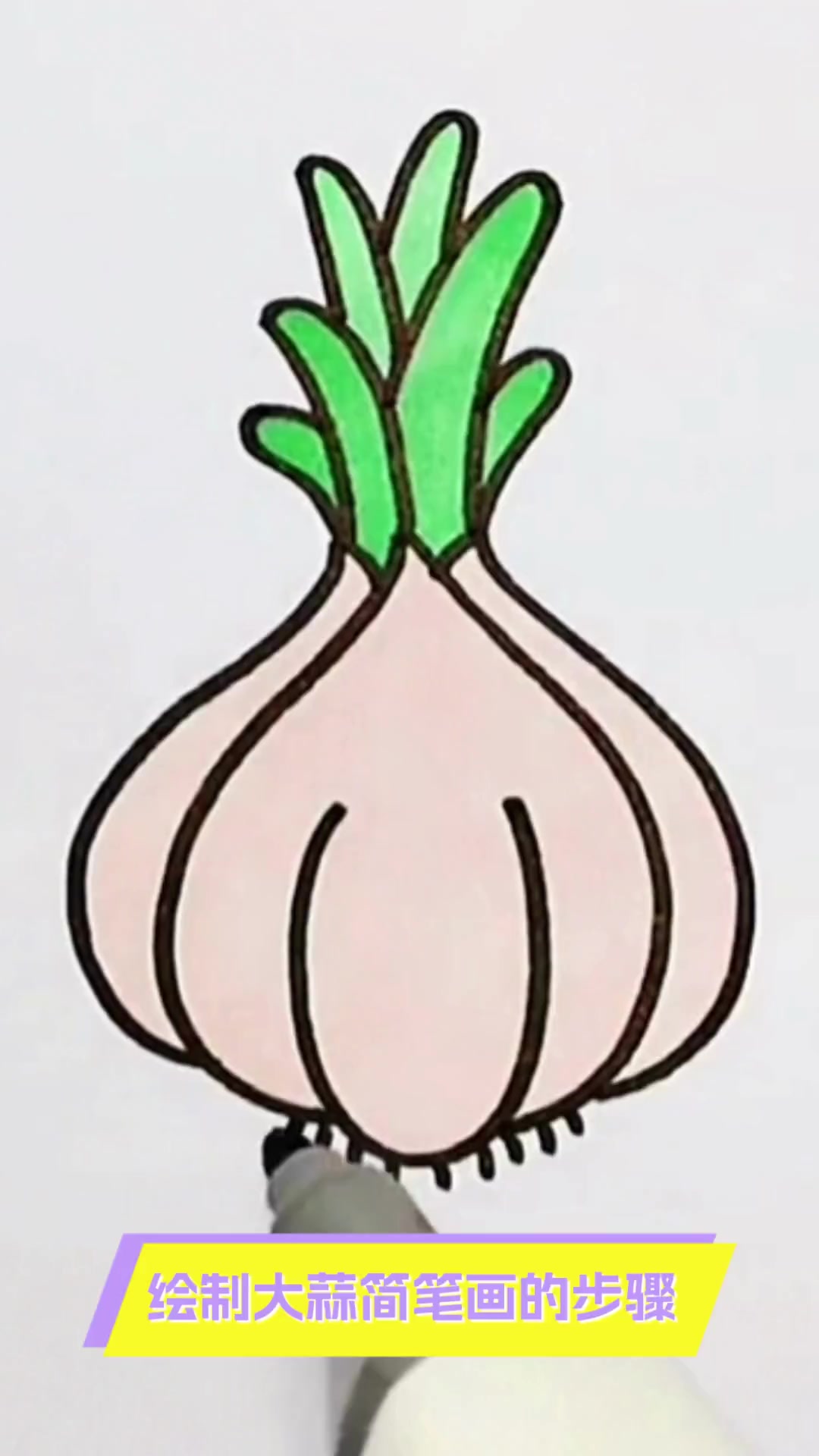 绘制大蒜简笔画的步骤