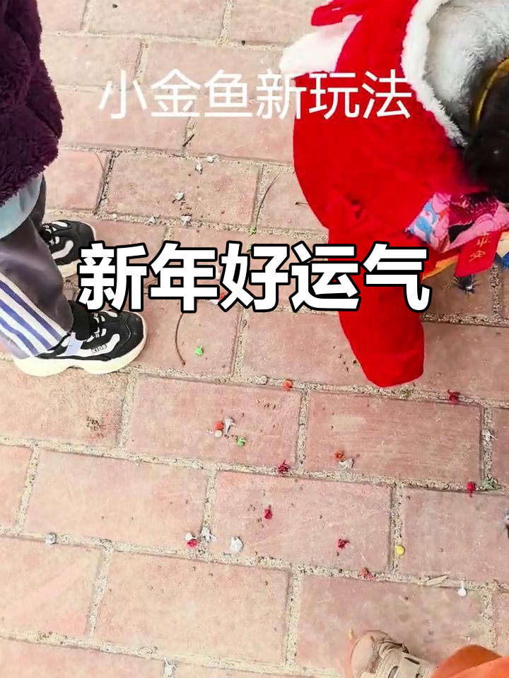 脚踩小金鱼,新年好运连连!