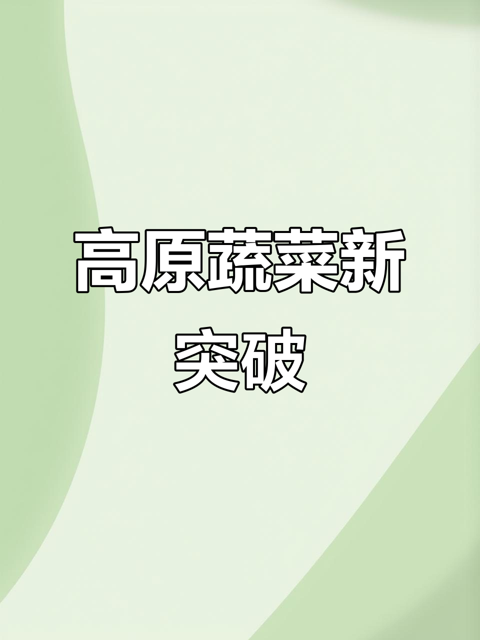 90后陈吉刚回乡两年,成功培育出高原特色蔬菜品种