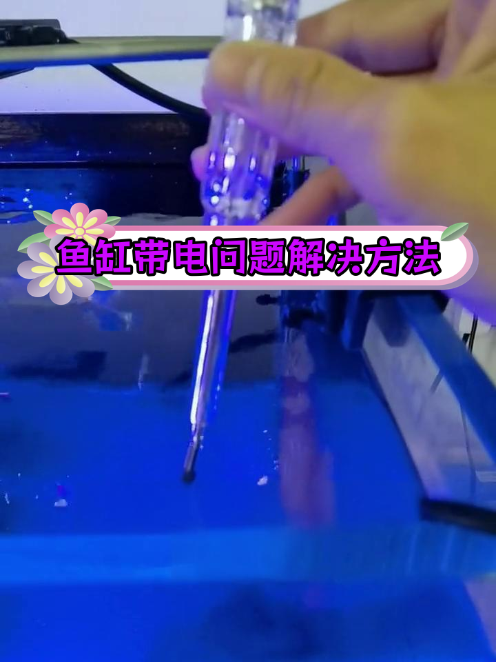 二手冷水机引发鱼缸问题,如何解决?