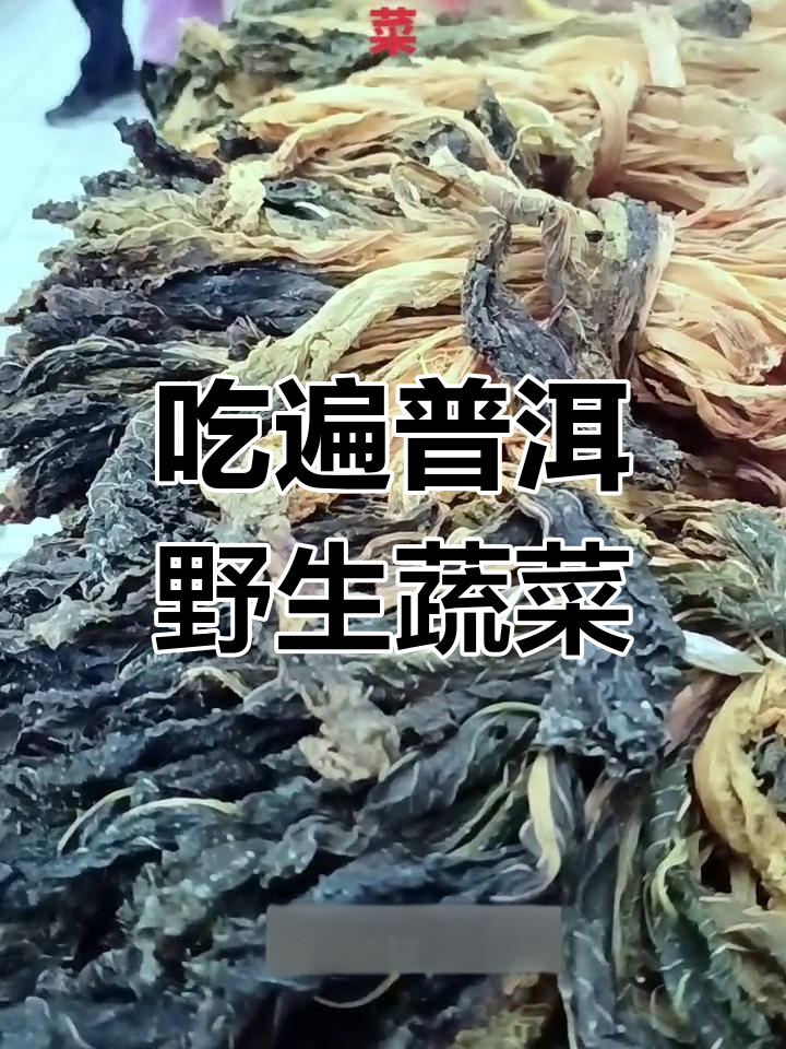 云南普洱的野菜大集合,尝鲜必去