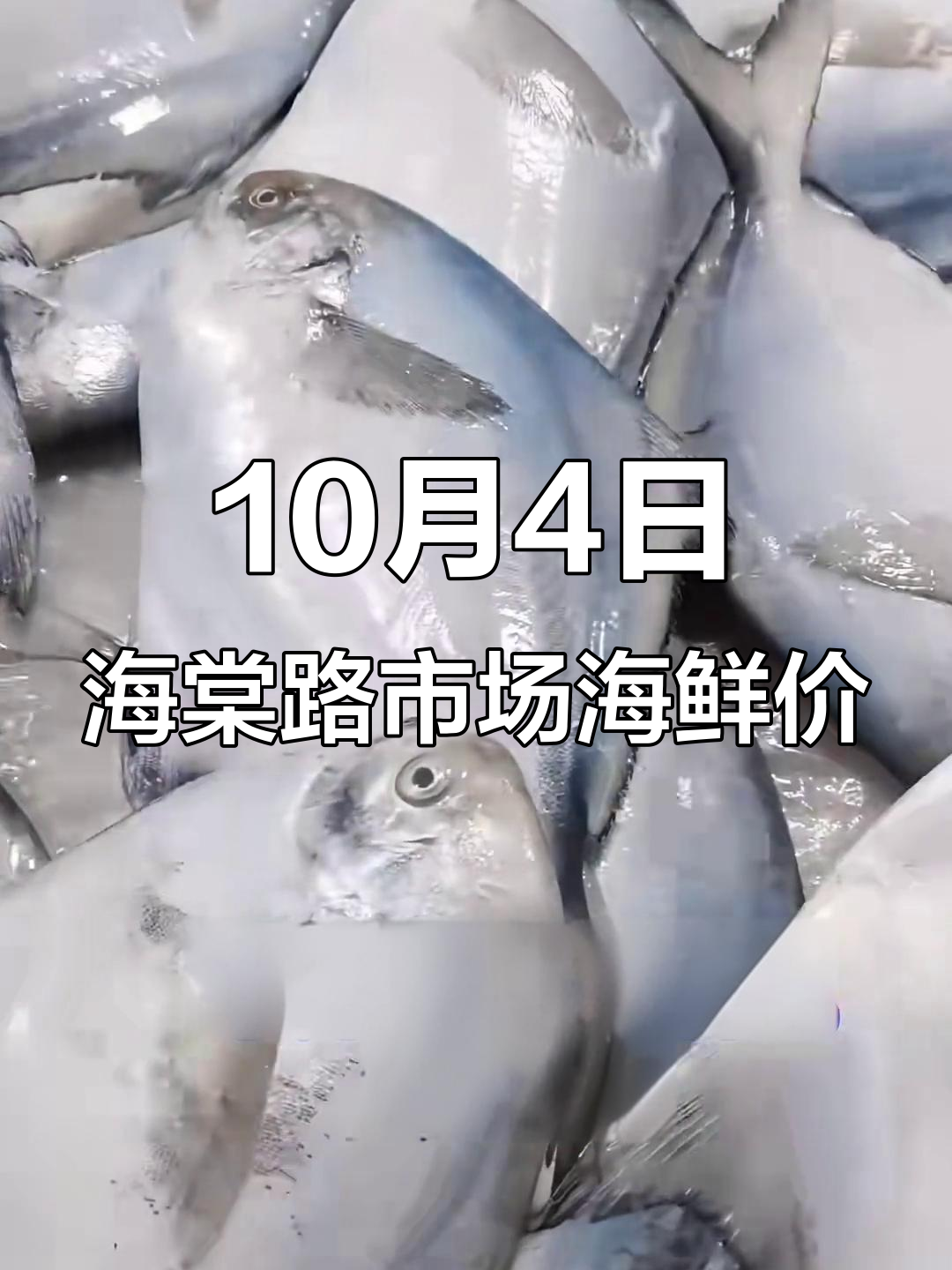 10月4日海棠路市场海鲜价格大揭秘,虾到鱼全都有