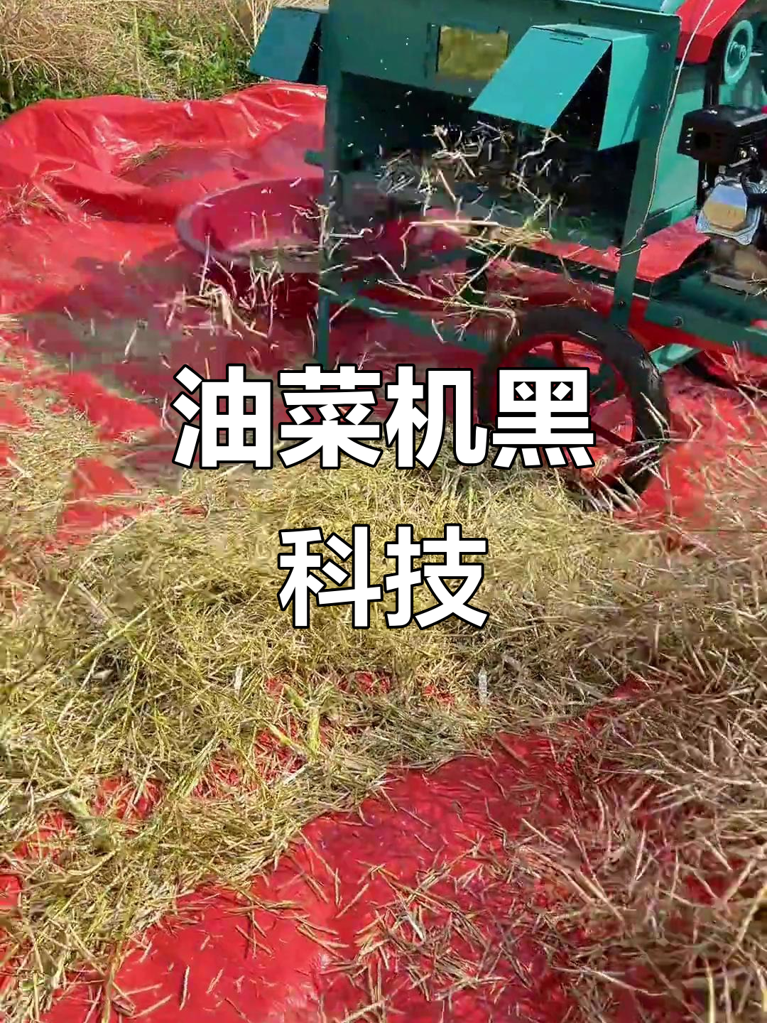 这台机器能轻松粉碎油菜杆,连籽都不漏掉,真是科技神器!