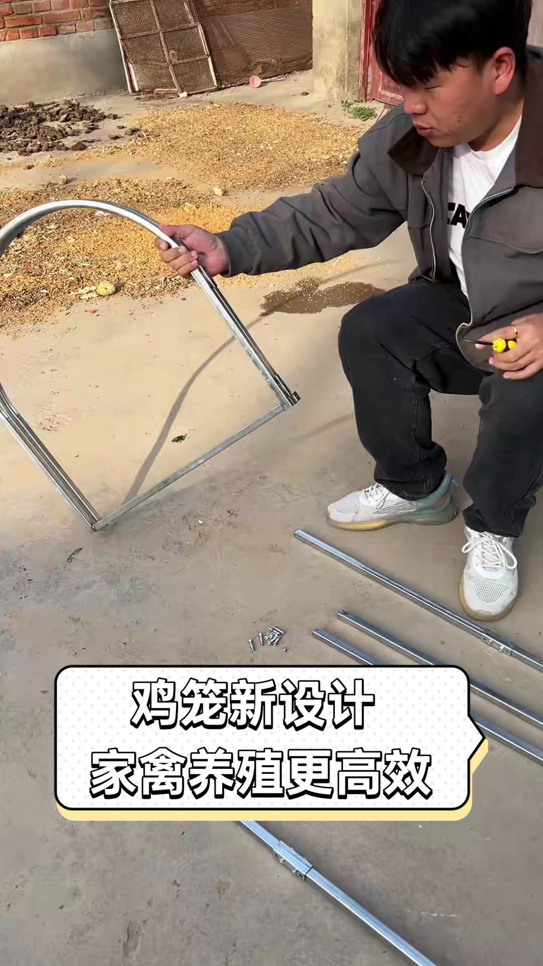 鸡笼新设计,家禽养殖更高效