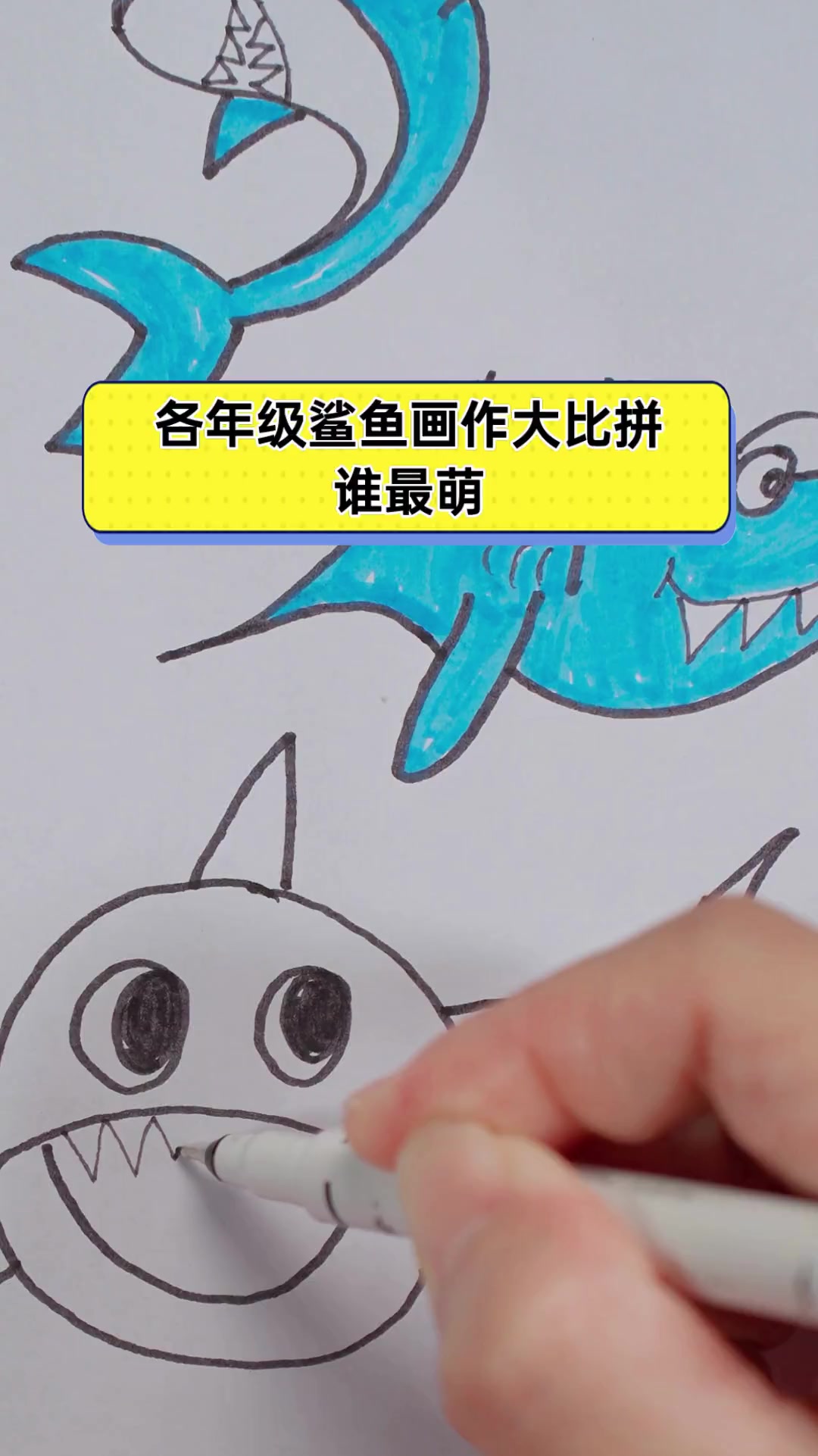 各年级鲨鱼画作大比拼,谁最萌