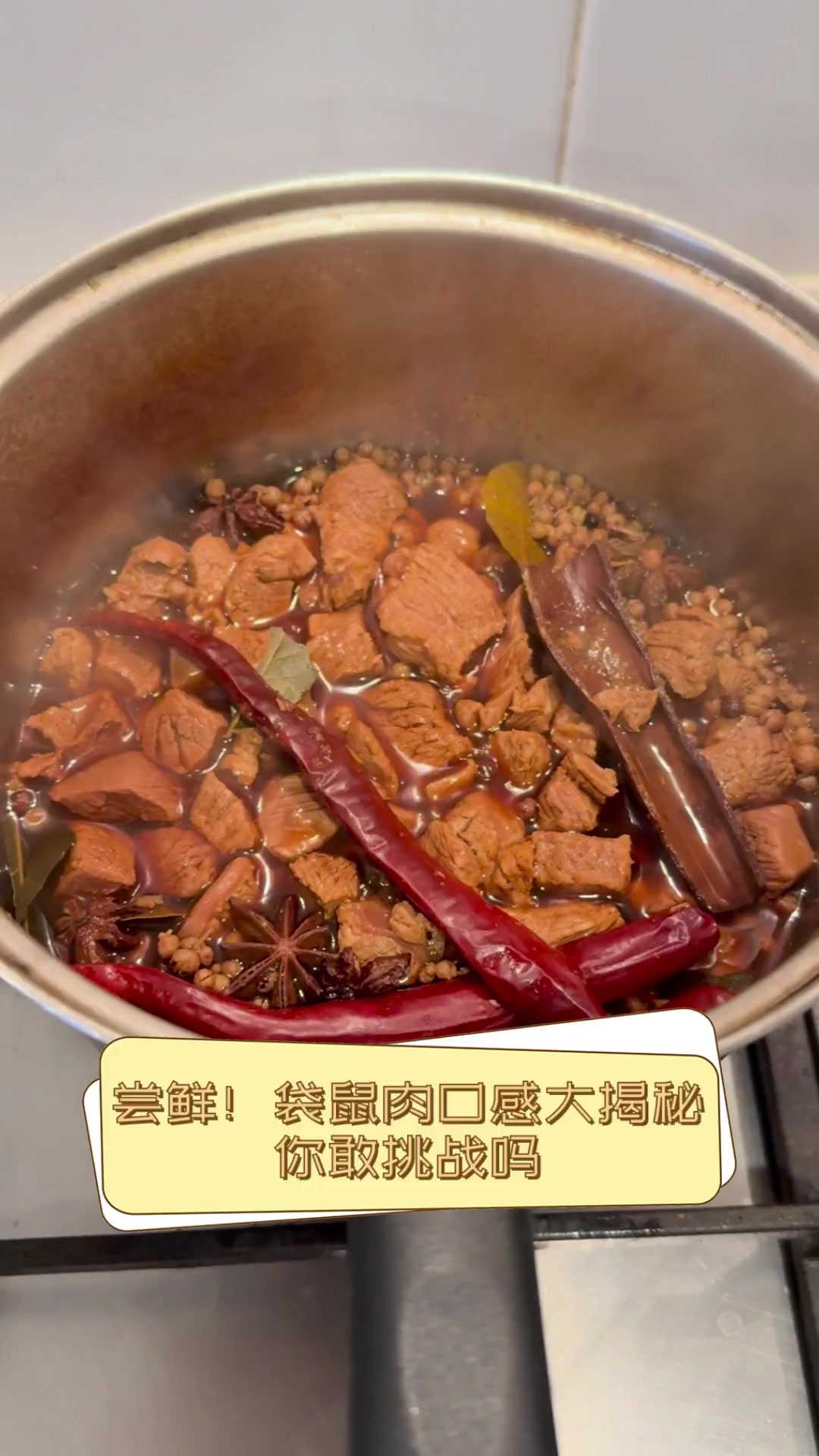 尝鲜!袋鼠肉口感大揭秘,你敢挑战吗