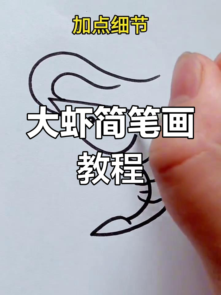 轻松学画大虾，简单步骤教你画出可爱小动物