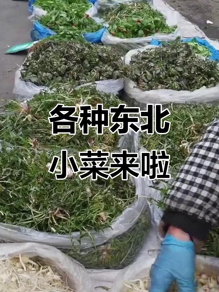 东北特色小菜大集合,土南瓜、血萝卜全都有