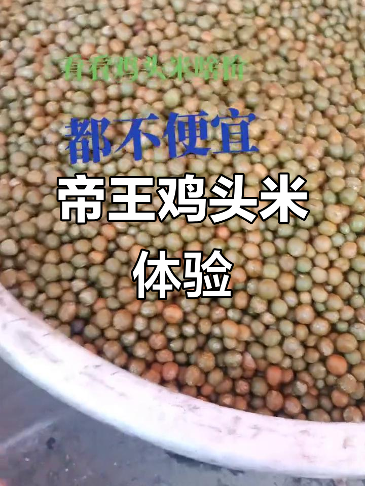 鸡头米价格差异大，帝王级与普通款口感对比