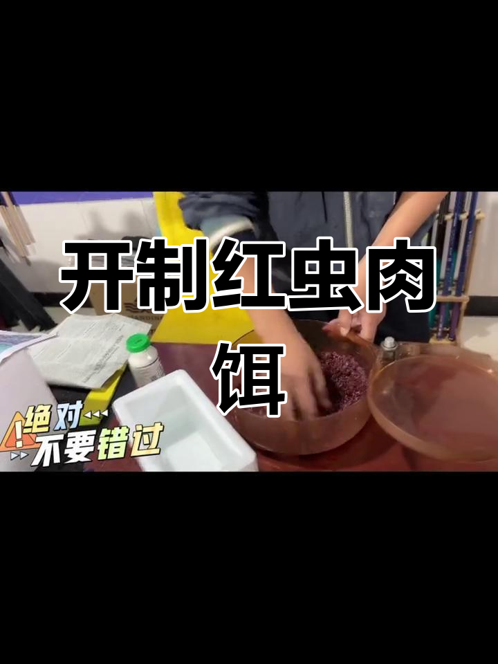 红虫饵料制作技巧,轻松学会钓鱼