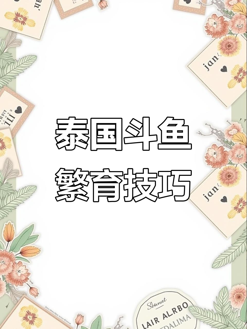 泰国斗鱼繁殖全攻略：从对缸到产卵的细节