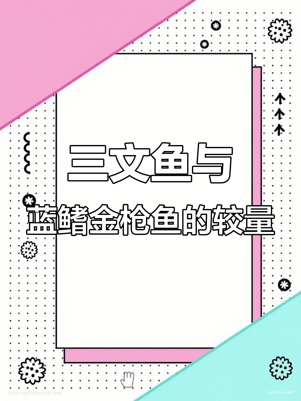 三文鱼大腹VS蓝鳍金枪鱼,哪种刺身更胜一筹?