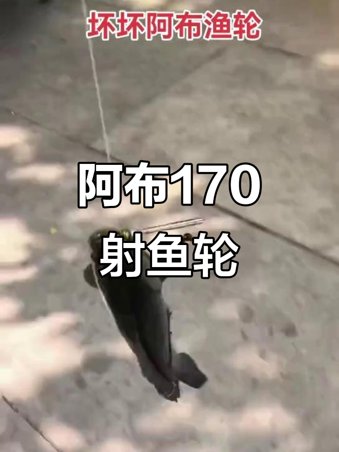 阿布170射鱼轮，轻松开张体验