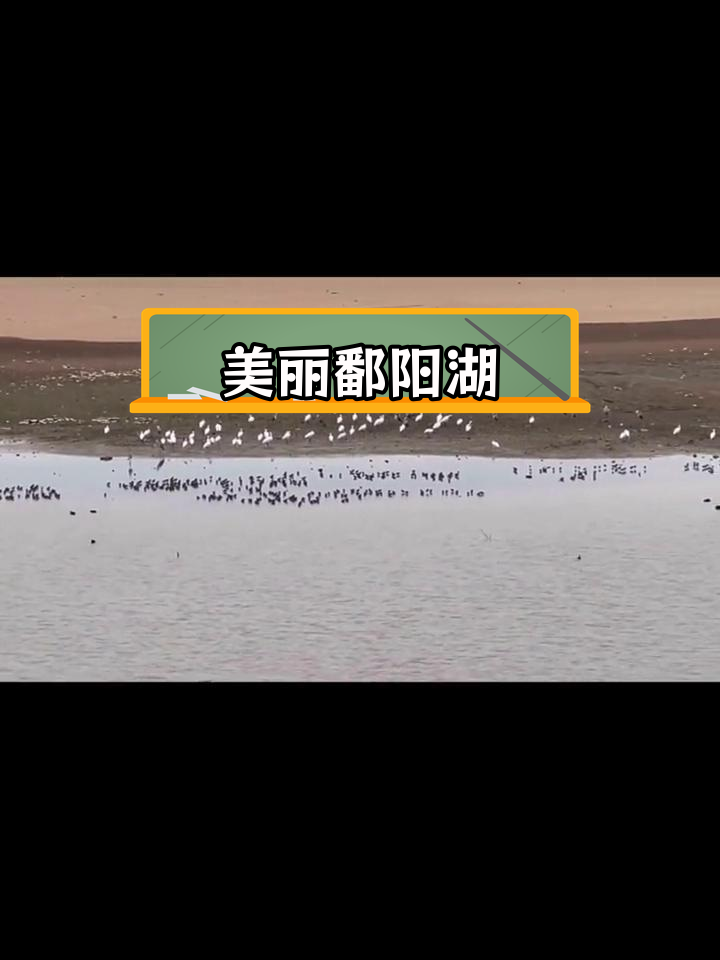 鄱阳湖:中国最大淡水湖的壮丽风光
