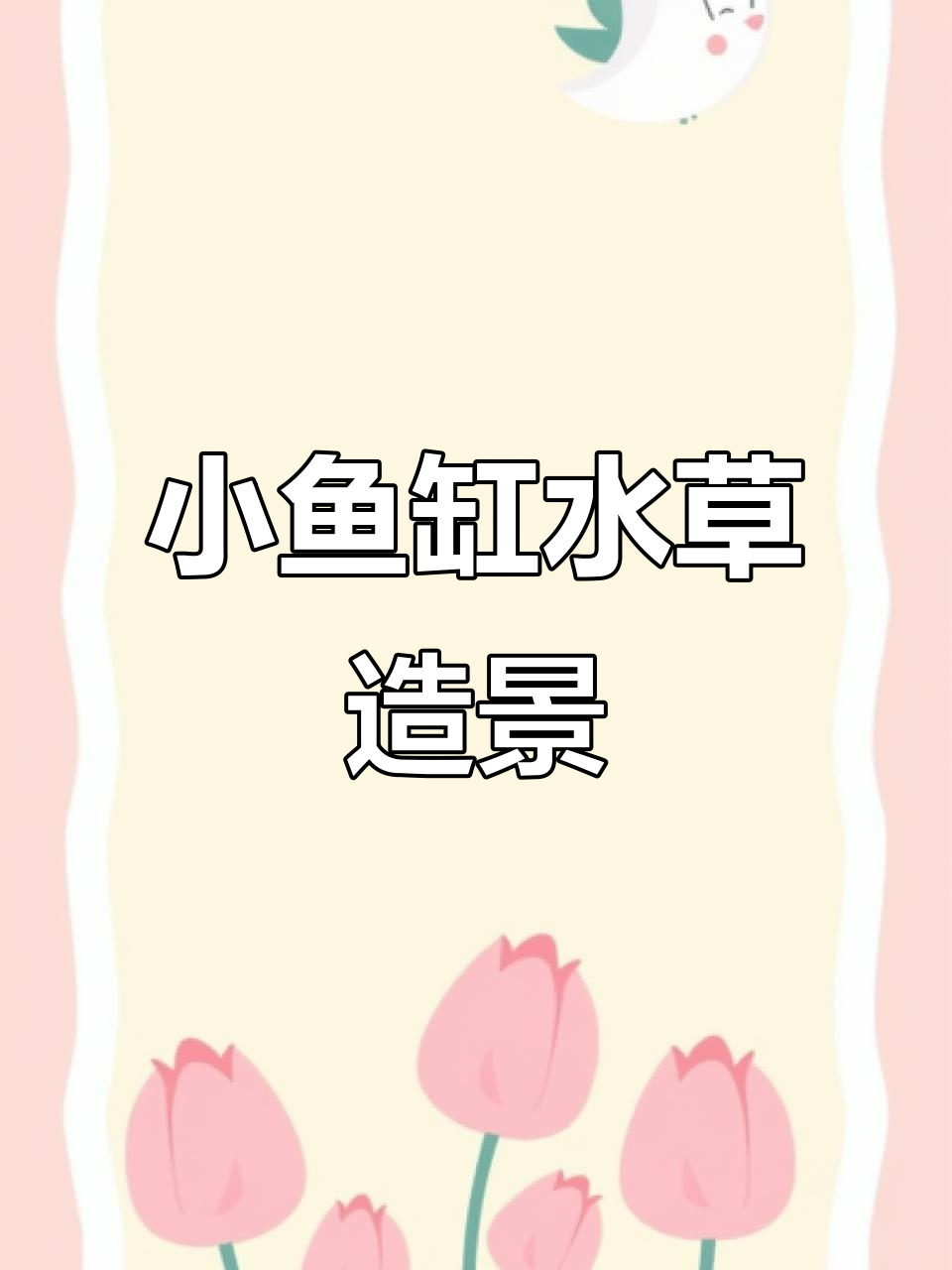 30厘米桌面水草缸造景全攻略，简单又好看！