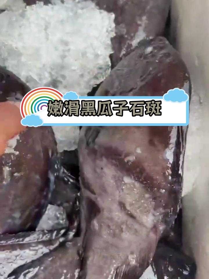 黑瓜子石斑鱼:鲜美肉质与独特口感