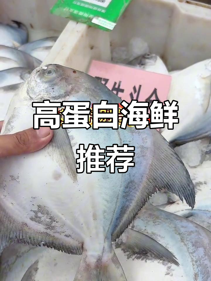 深海斗鲳鱼,富含蛋白质,营养丰富