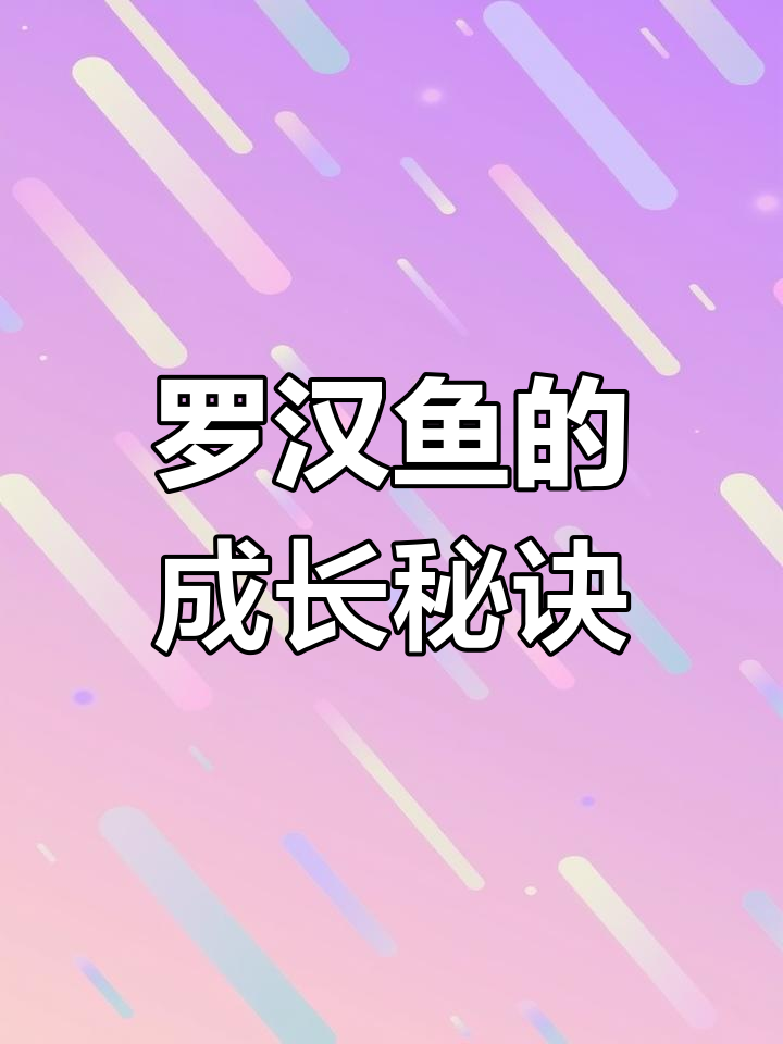 饲养罗汉鱼,耐心与品质并存