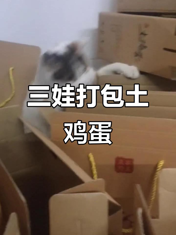 农家土鸡蛋大包装,三个孩子忙得不亦乐乎