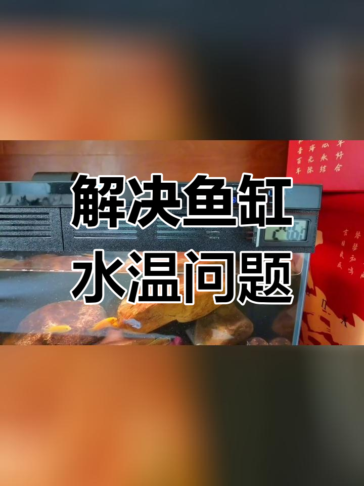小米鱼缸温度显示异常,尝试换水泵解决问题