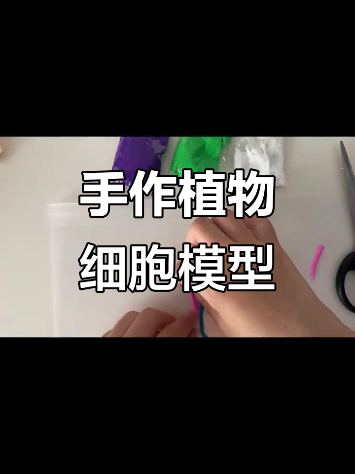 用手搓植物细胞模型,简单又有趣!