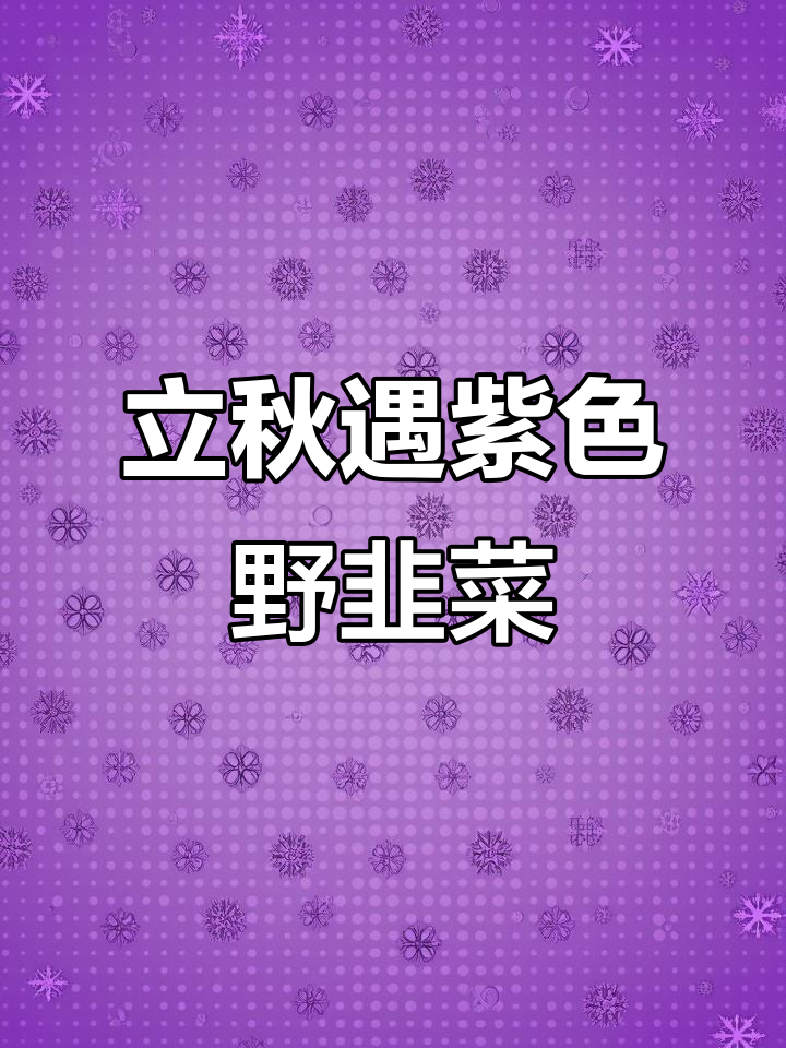 淡紫色野韭菜花能吃吗?立秋后的惊喜与感动