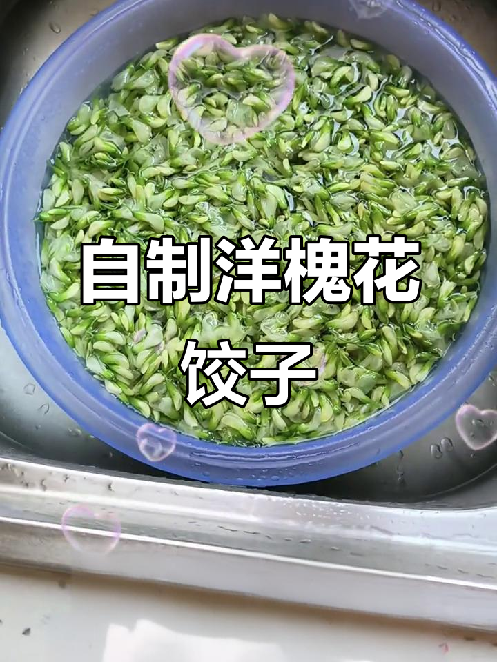朴素烹饪做出高端美味,洋槐花饺子香气扑鼻