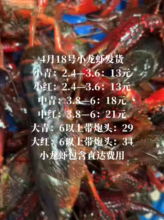 13元的小龙虾,一手货源每天发货上万斤