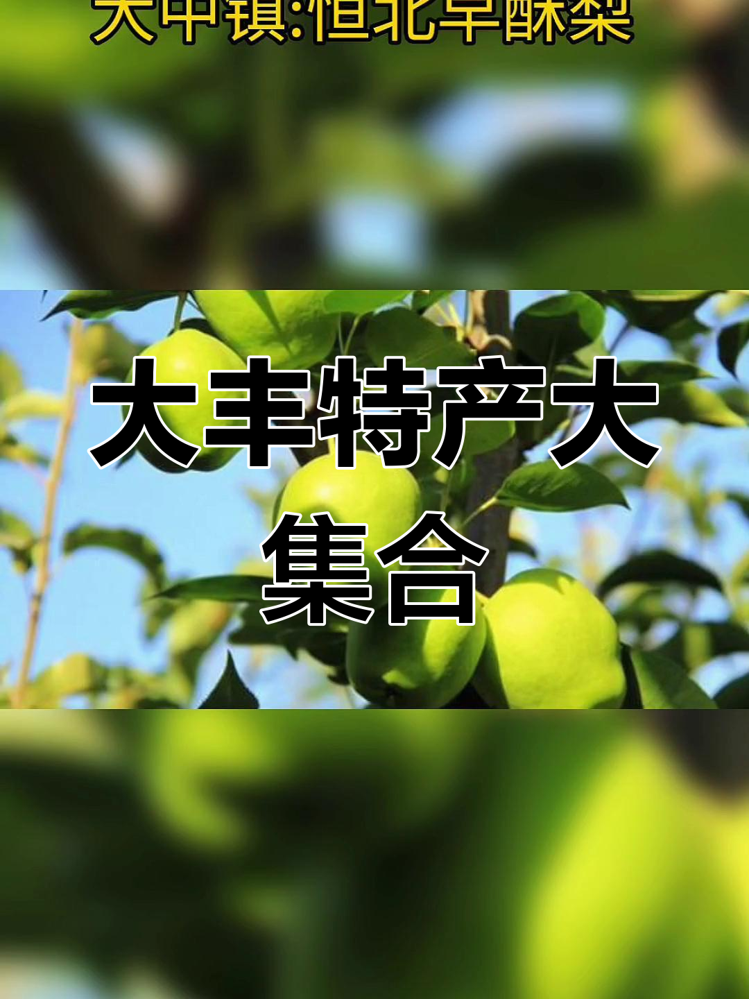 大丰各乡镇特色美食大盘点