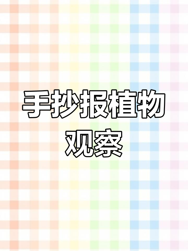 辣椒生长观察,手抄报轻松搞定!