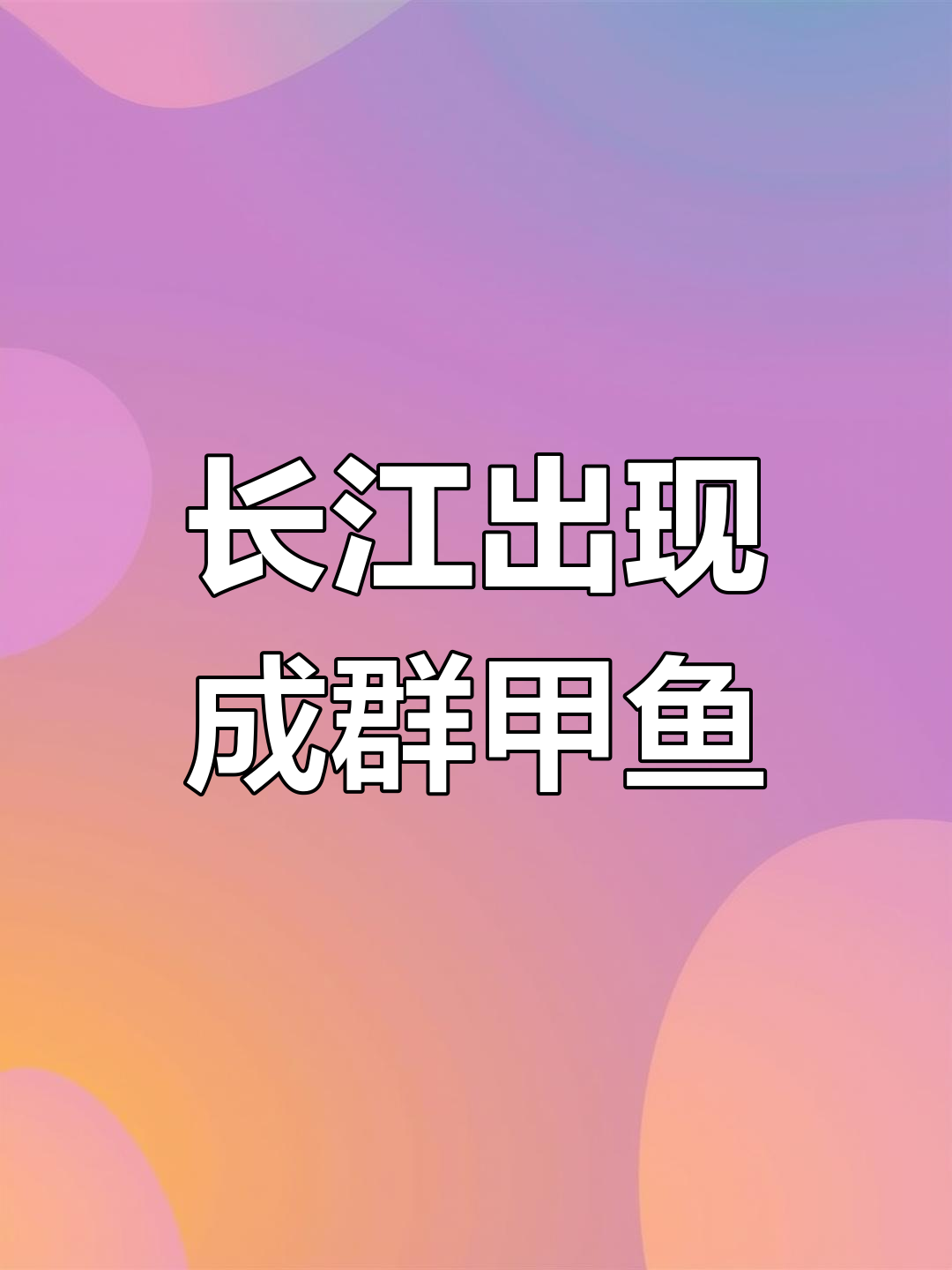 南京长江岸现大量甲鱼,专家称正常现象