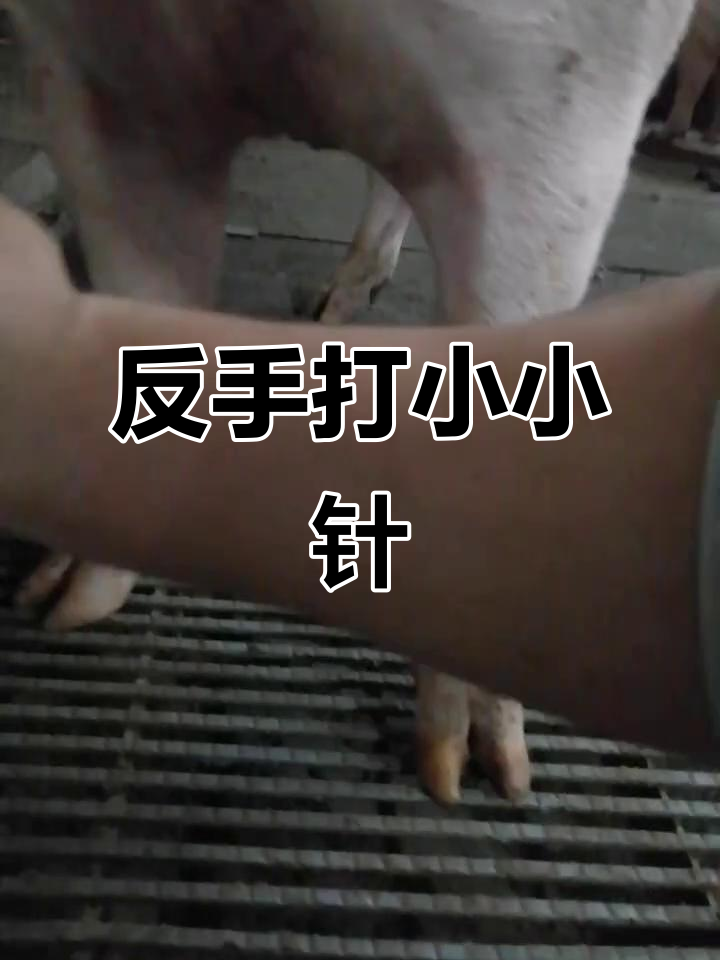 反手打针，9号针头轻松搞定！