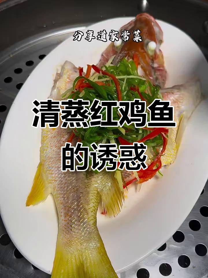 给孩子尝尝清蒸红鸡鱼,鲜美又营养,绝对让他们爱不释口