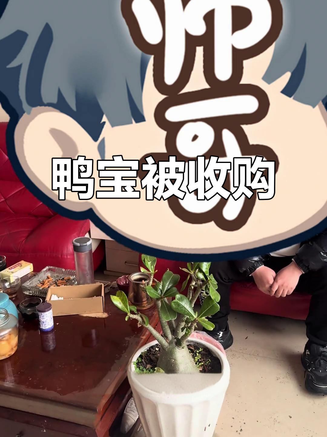 河北安国“鸭宝”真有人收，价值几何？