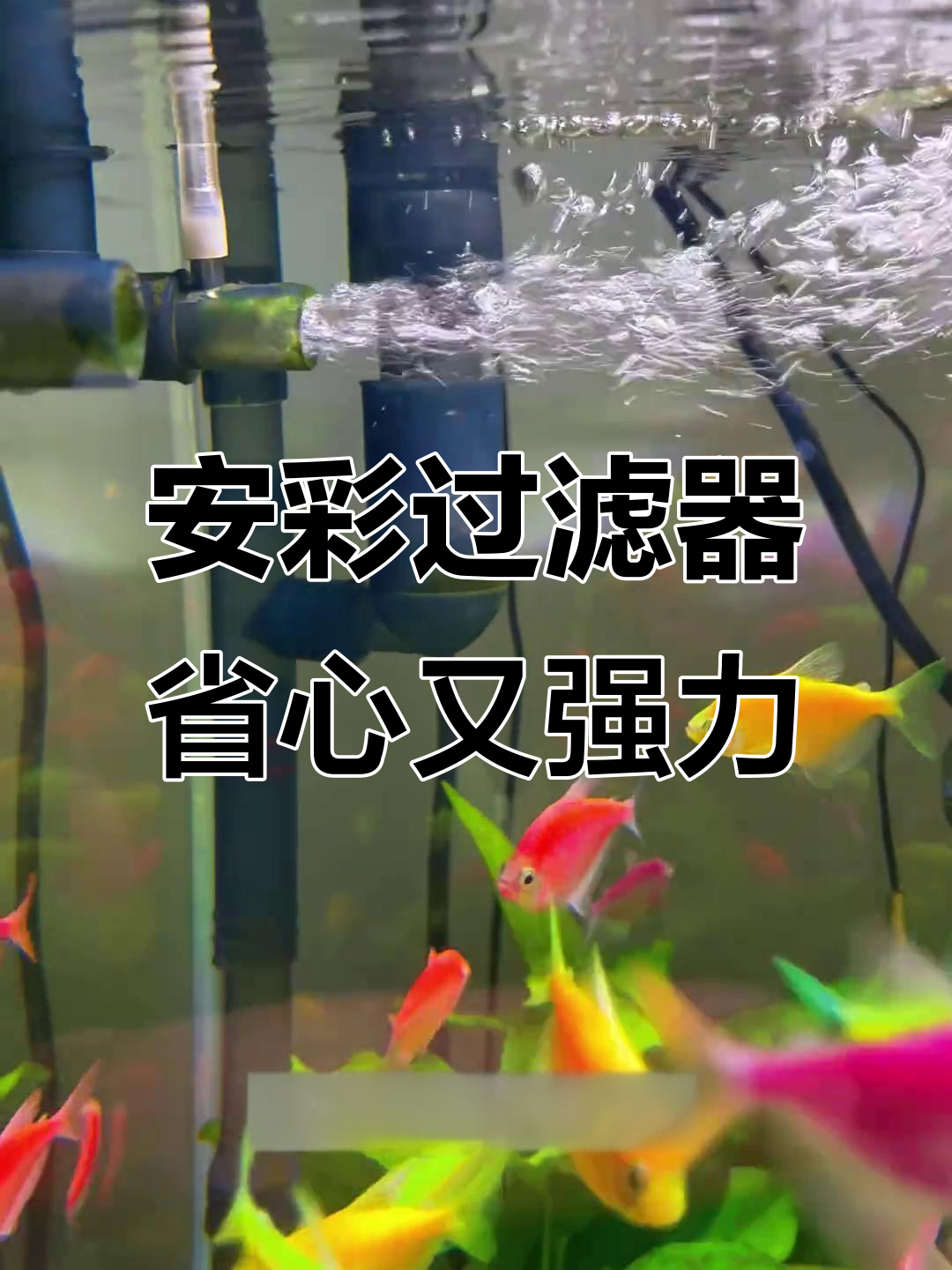 安彩过滤桶:静音高效,清洗方便,养鱼必备神器