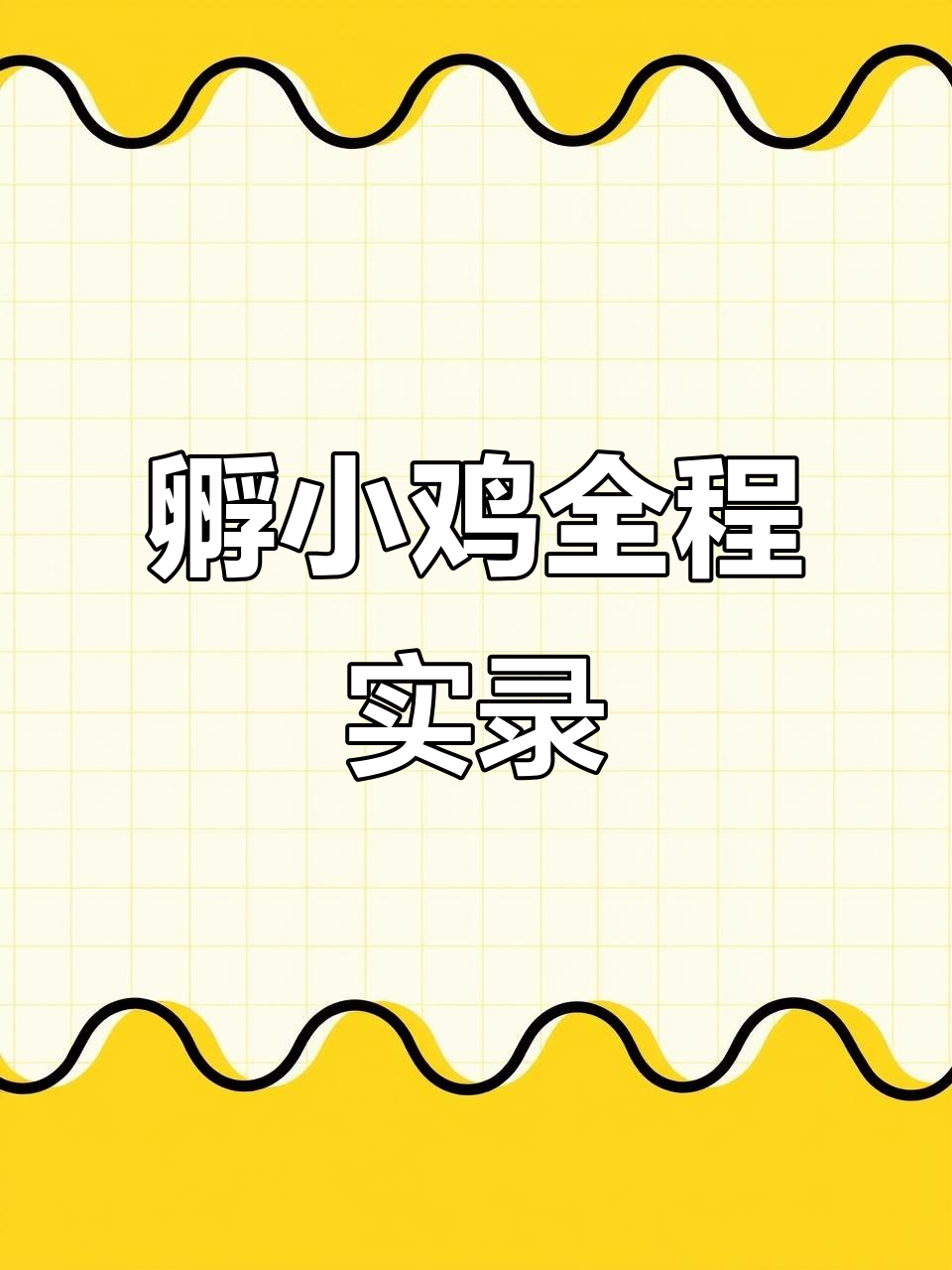 小鸡孵化全过程记录,期待五天后的惊喜
