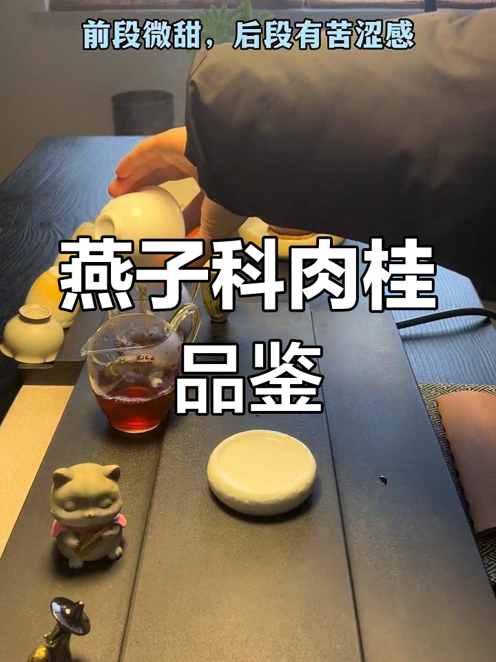 叶嘉岩燕子窠肉桂:30+一泡的口感体验,苦涩与甜香的碰撞