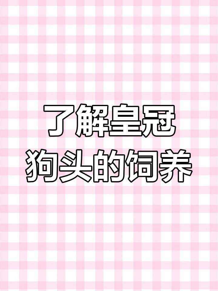 皇冠狗头:巨型河豚混养技巧与注意事项