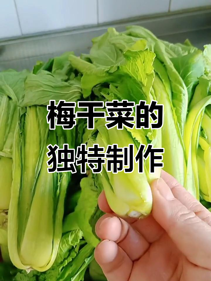 小白菜晒干发酵,梅干菜做法大揭秘