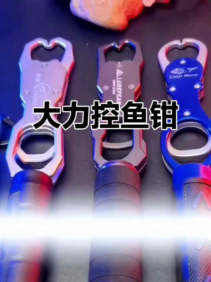 控鱼器大物夹子,轻松捕捉大鱼,拍照更方便