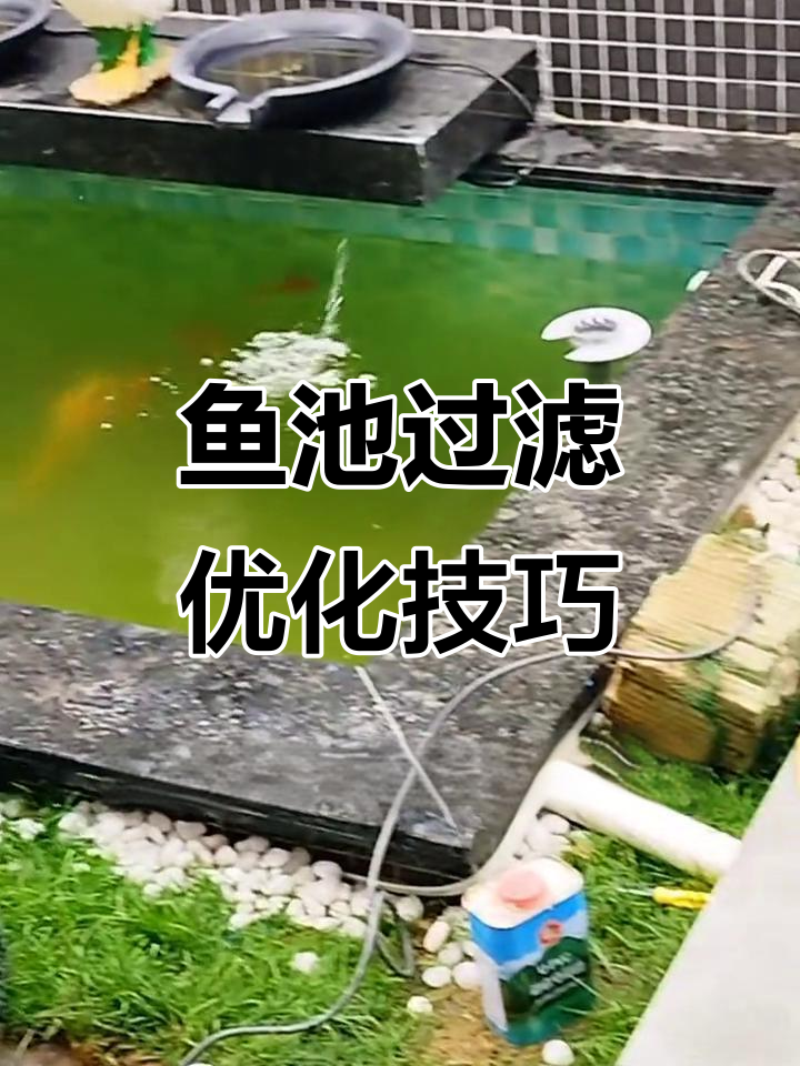 鱼池过滤系统改造:选对水泵和滤材,省电又高效