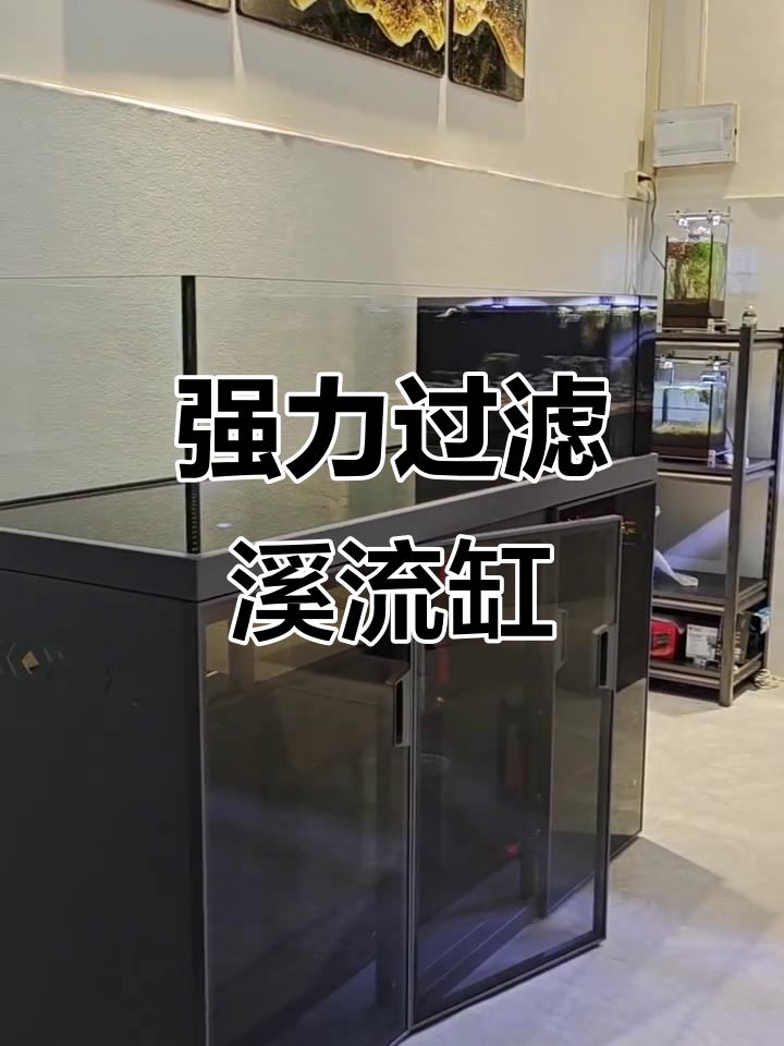 高颜值溪流缸,双层过滤设计让水质更纯净